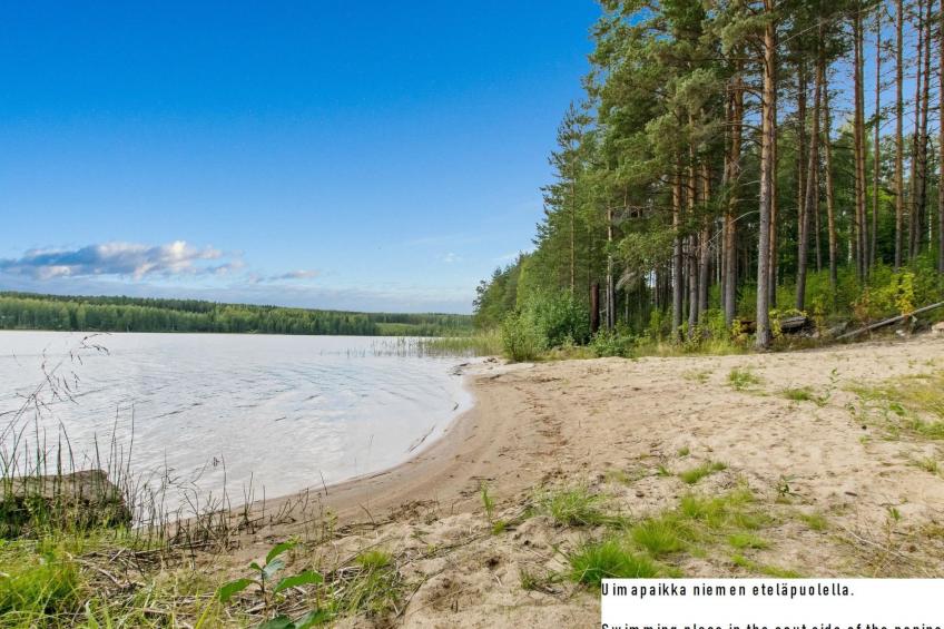 Sammallehto - foto 36