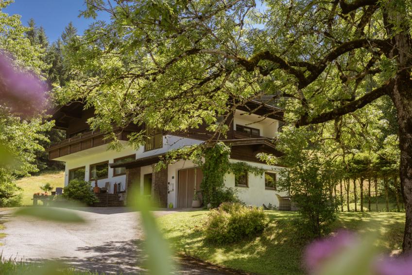 Studio Esche 3 - foto 53