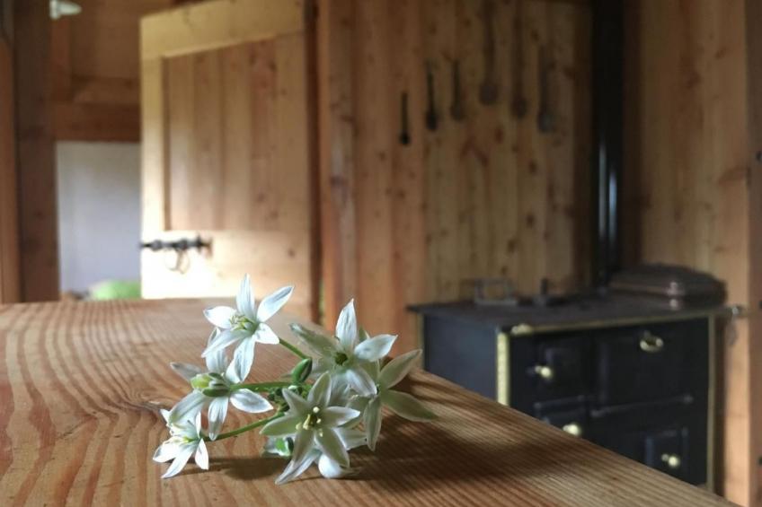 mit Sauna in Pieve Di Bono - foto 26