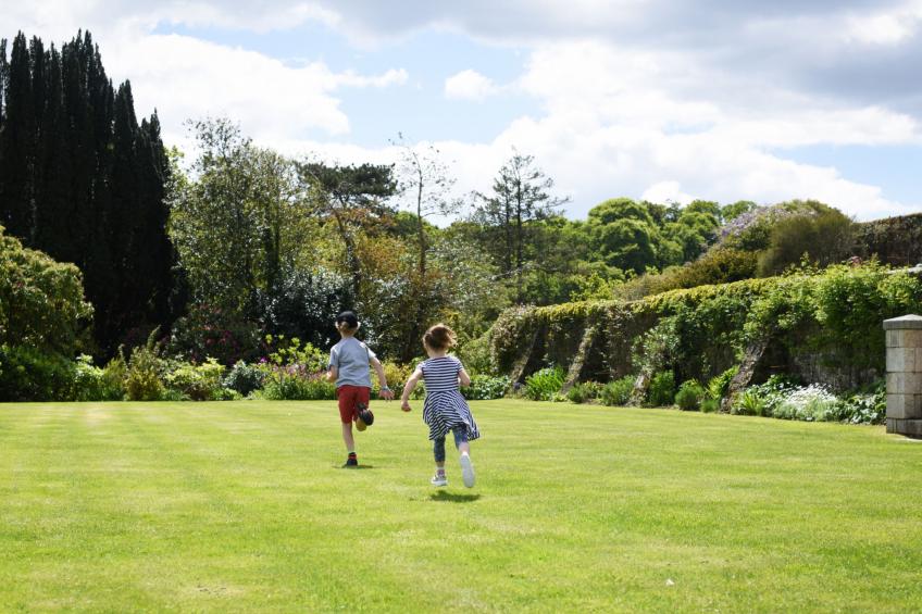 Historic Castle on River Tamar - foto 14