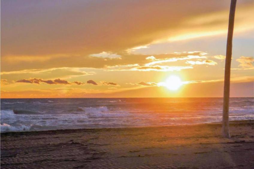 Fleur de Sel - Aigues Mortes - foto 24