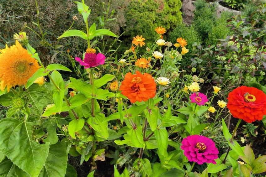 Am Springelbach - foto 16