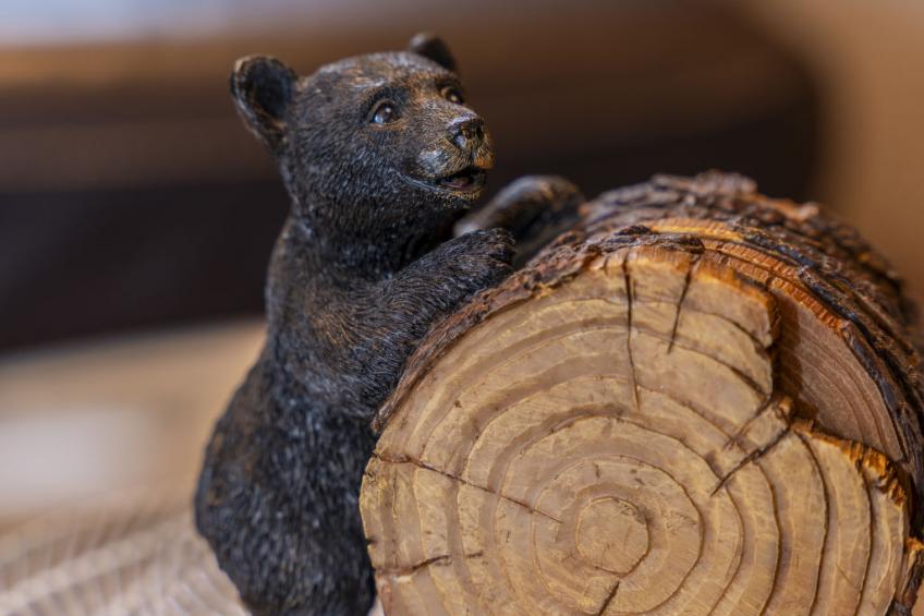 Cozy Bear Cabin - foto 19