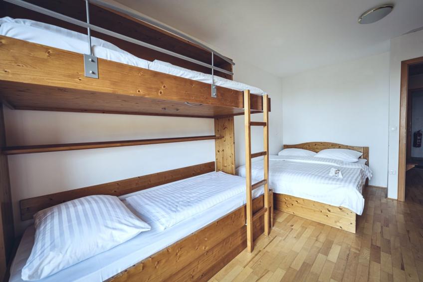 Forest Apartments Videc - Pohorje Bilo 7 - foto 9