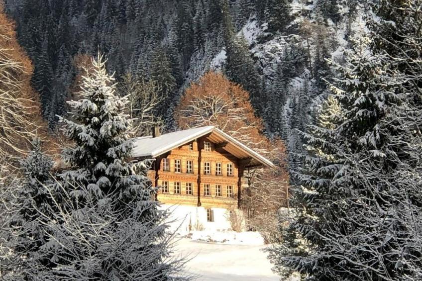 Wohnung Niesenblick - foto 11