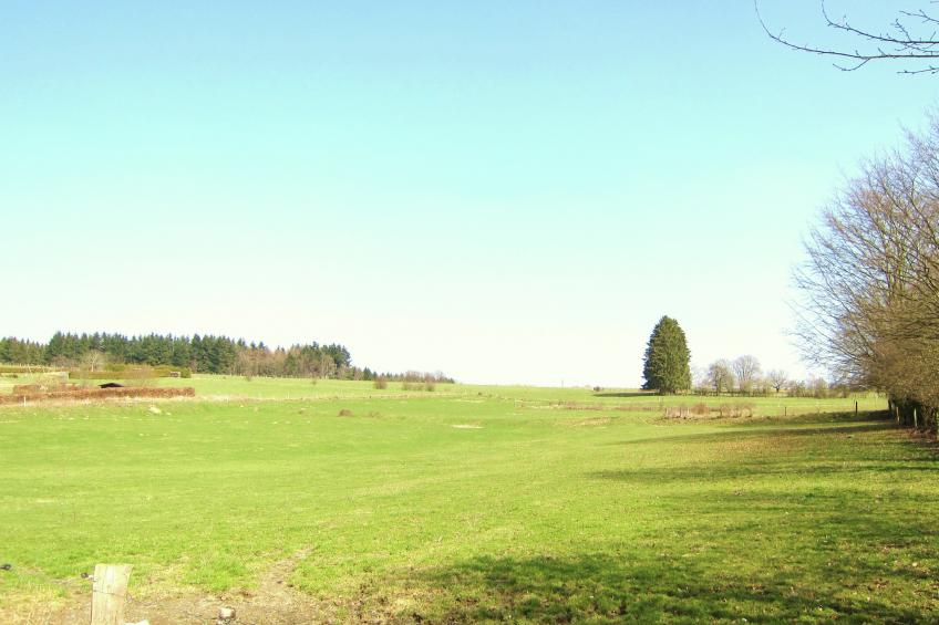 Roulotte Papillons - foto 17