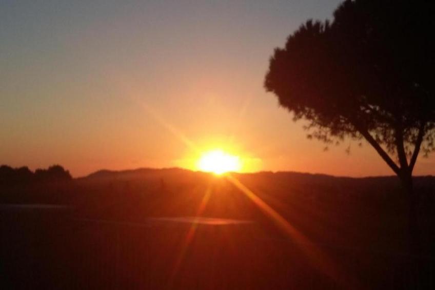 Beato Enrico - foto 23