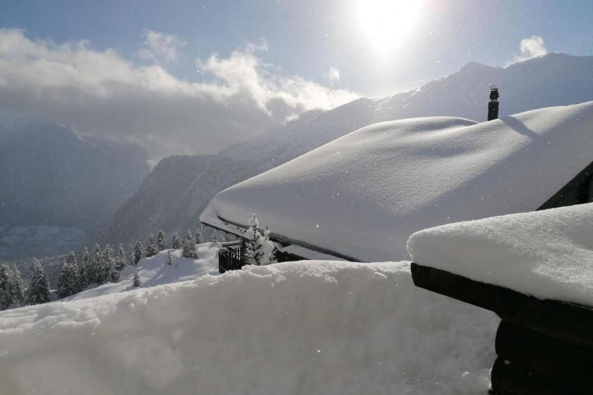 Bella Strega - foto 2