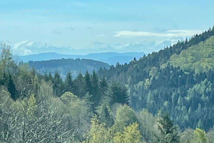 Haus Alpenblick - foto 25