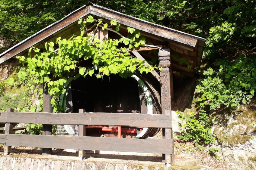 Würzgarte - foto 55