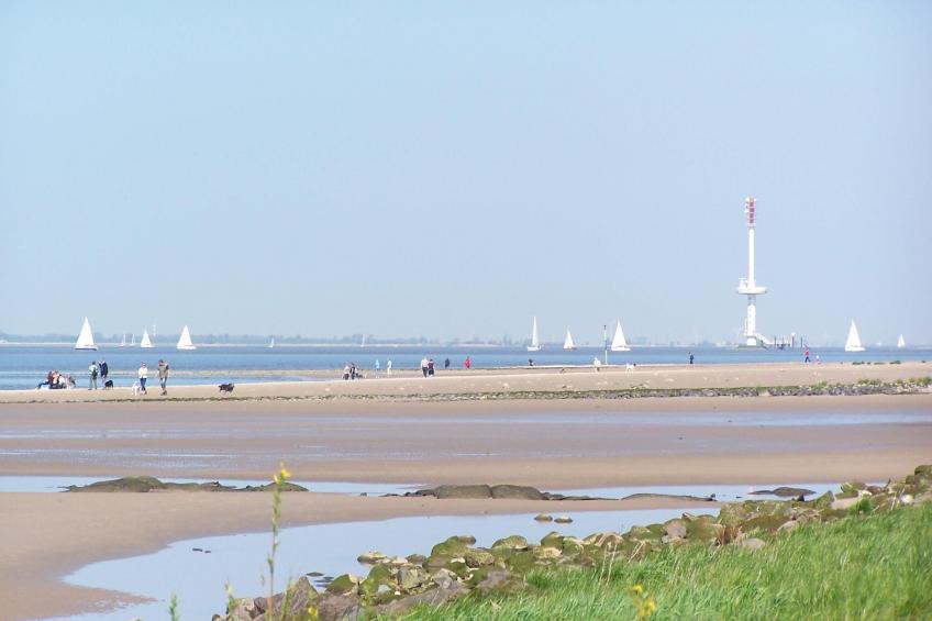 Elbe-Ferienwohnung mit Terrasse nah am Zentrum - foto 20