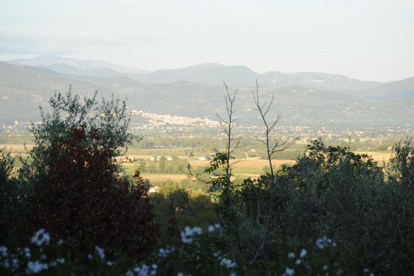 Wohnung im Agrotourismus in Bevagna - foto 20