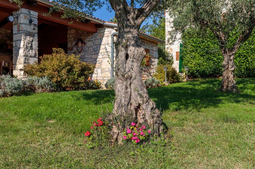 Holiday home mit privatem Pool und Garten - BF-B62P2 - foto 5