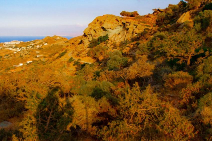 für 8 Personen in Agia Pelagia, Kreta - foto 71