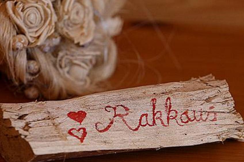 Mäntyniemi, pätiälän kartanon loma-asunn - foto 13