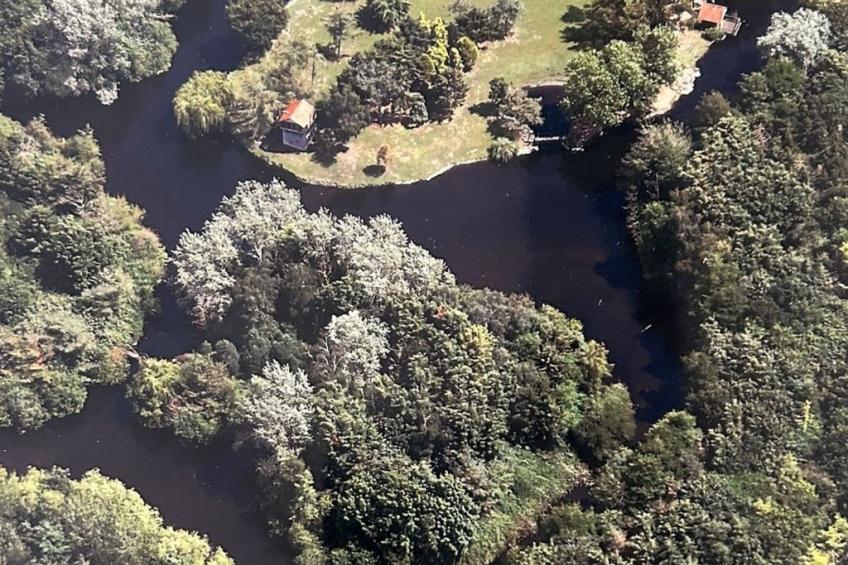 Hazel Rose Cottage - foto 23