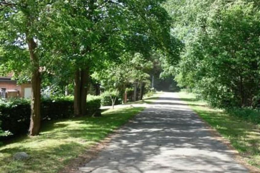 Elbe-Ilenpool -In Ruhe entspannen - foto 29