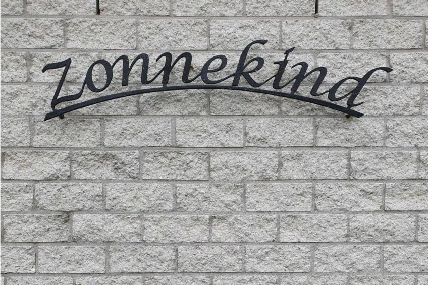 Bohemien 47 - foto 17