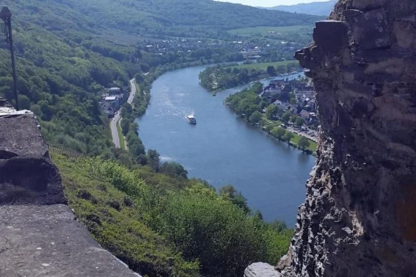 Wohnung in Brauneberg mit Terrasse und Garten - foto 19