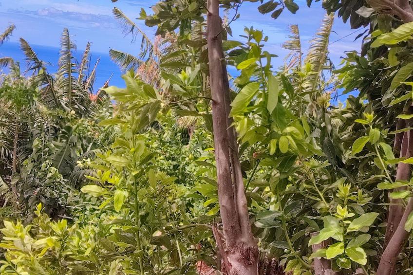 Typische Bauernhof-Wohnung - foto 20