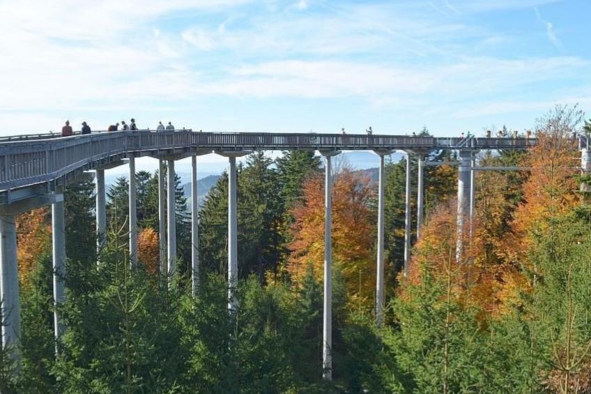 Gemütliche Ferienwohnung in Weiherhäuser mit Garten und Terrasse - foto 16