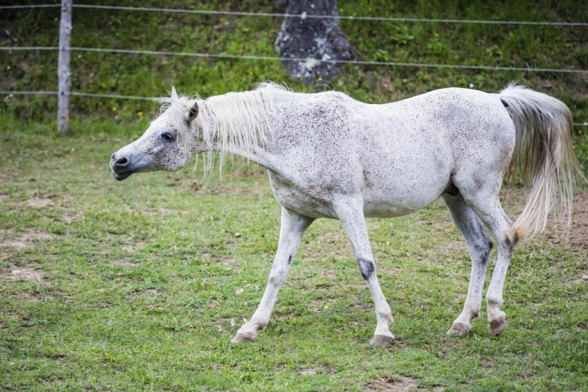 in ruhiger Lage - foto 38