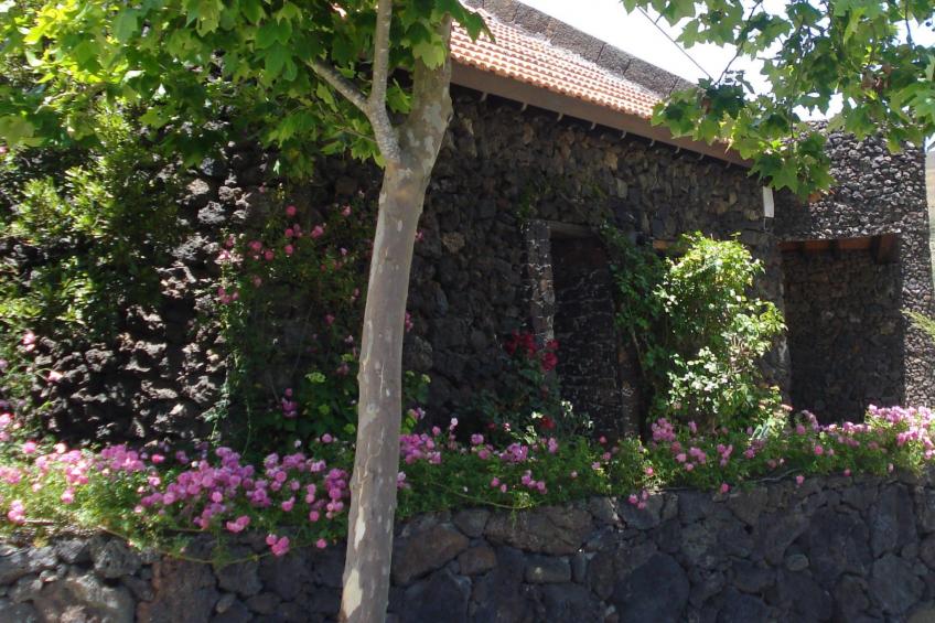 Traditionelles kanarisches Landhaus - foto 28