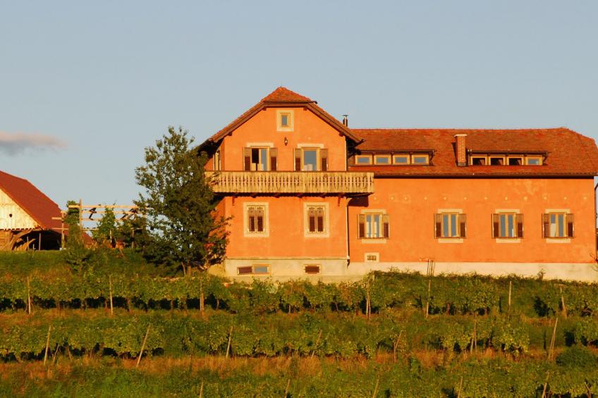 für 8 Personen  + 4 Kinder ca. 200 m² in Ptuj, Untersteiermark (Drau Slowe - foto 2