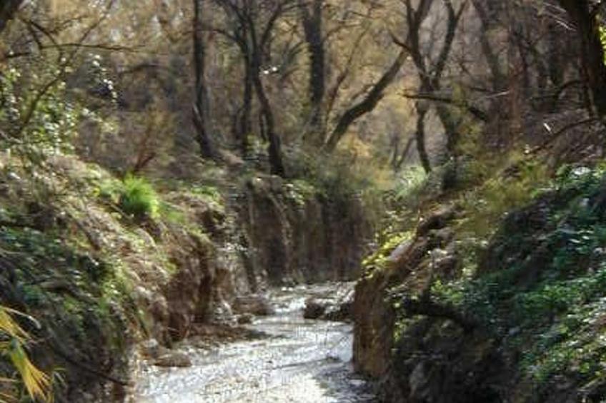 Haus La Cateta - foto 5