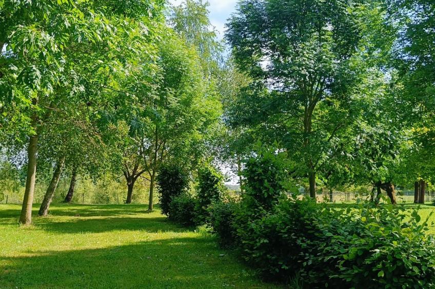 Coproyshof am See - foto 38