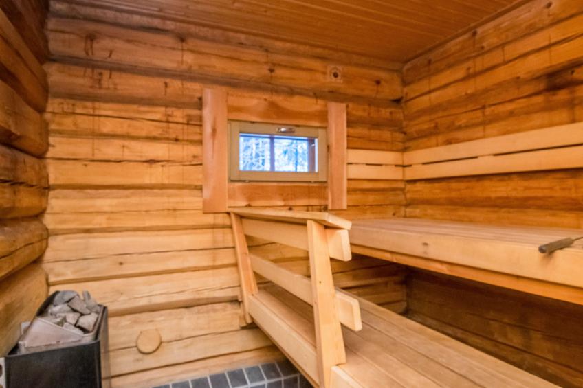 Luhtalemmikki - foto 17