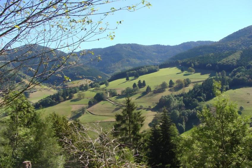 Haus Wasser - foto 31