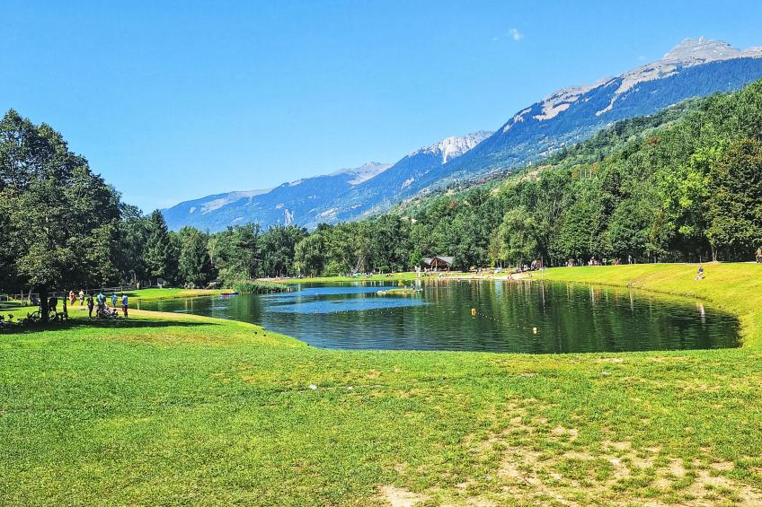 Bellentre Chalet le Pommier 5 - foto 46