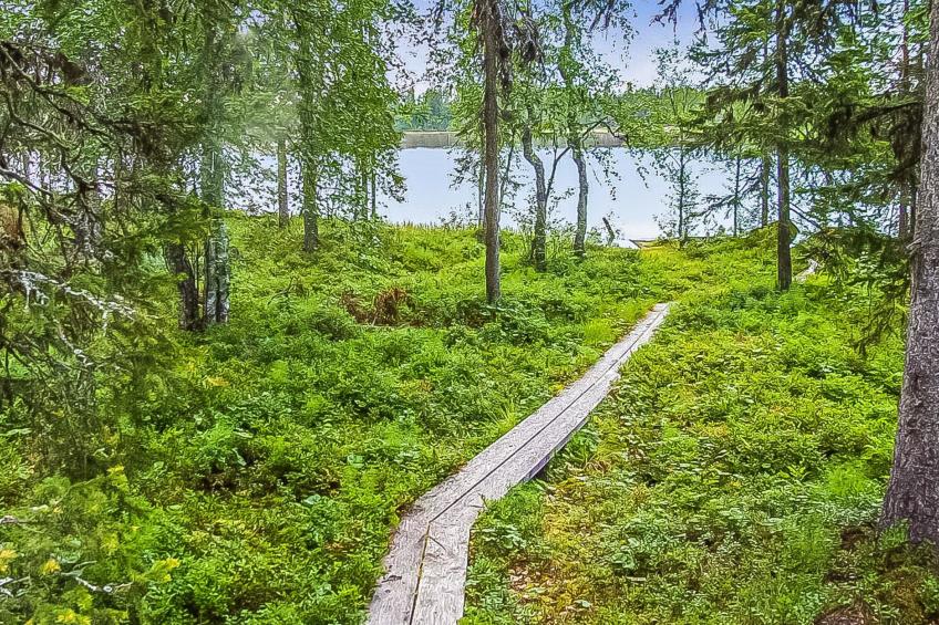 Seitsemän savua 4 - foto 3