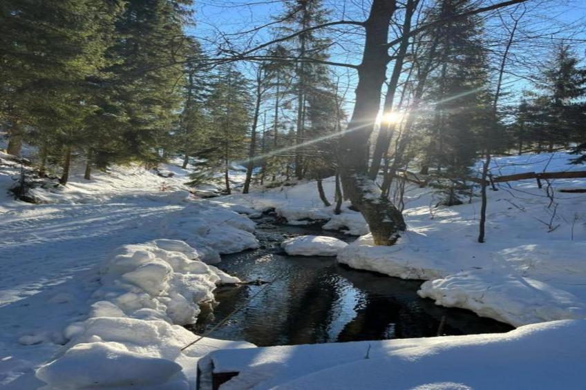 Luksusowa Willa w górach 200 m od wyciągu - foto 37