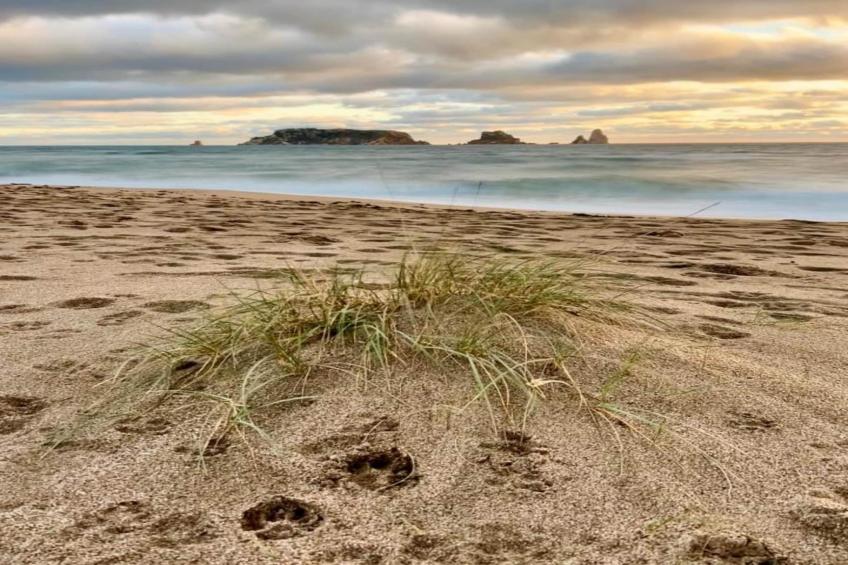 TARRACO 15 (BOLLERIA) - foto 36