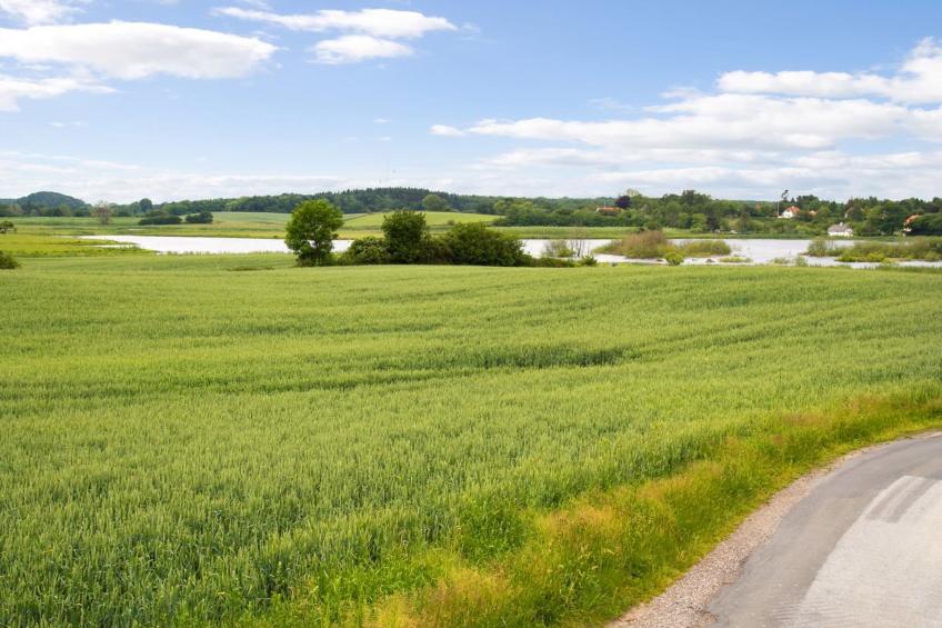 "Kundry" - 800m from the sea in Funen - foto 19