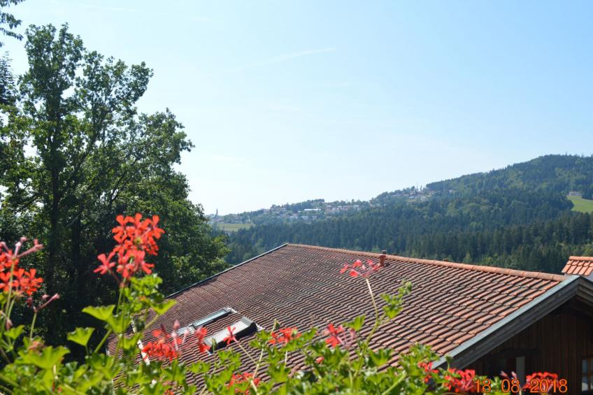 Wohnung Adalbert Stifter im Bayerischen Wald - foto 32