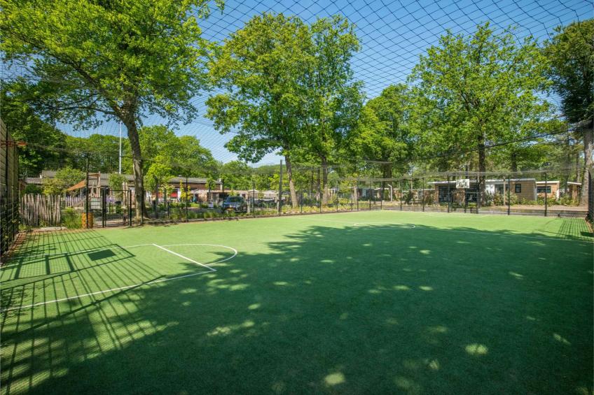 Veluwehoeve 4 personen MIVA - foto 15