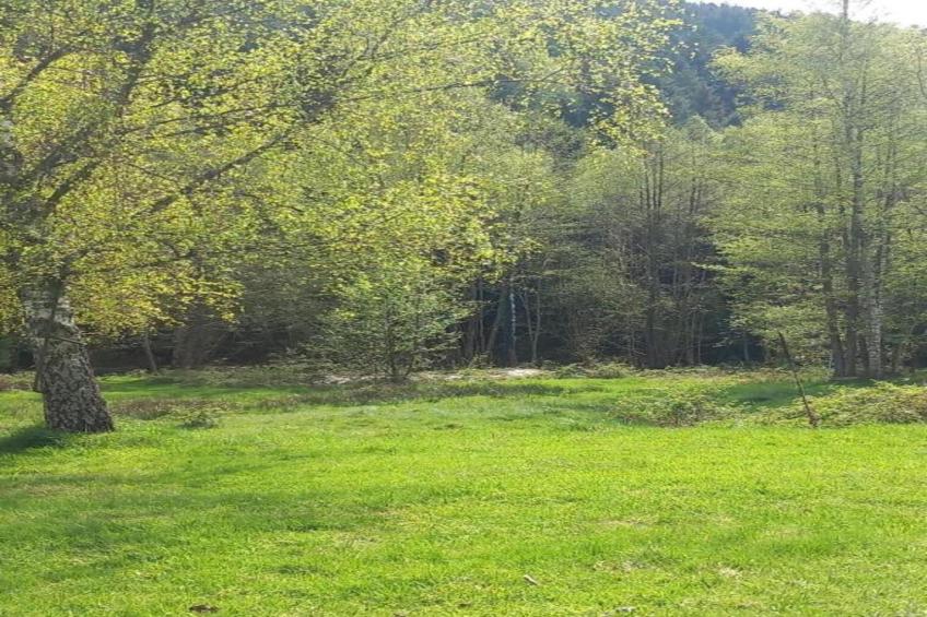 Chalet - TURQUESTEIN - foto 37