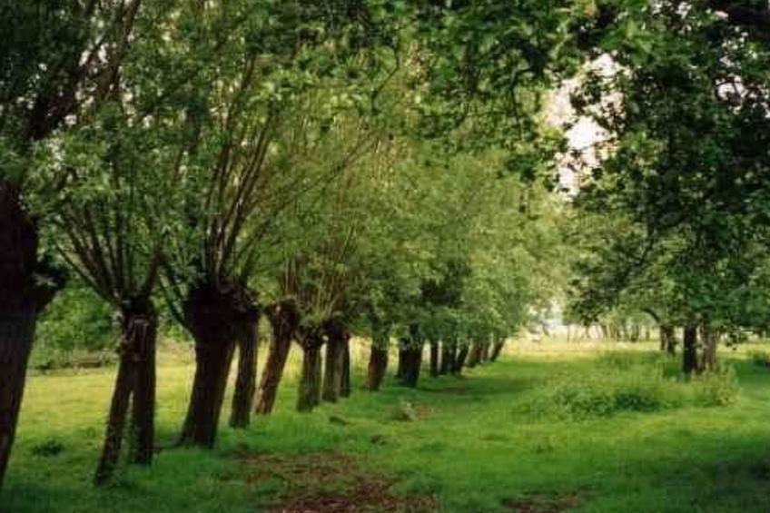 Wohnung auf dem Bauernhof - foto 37