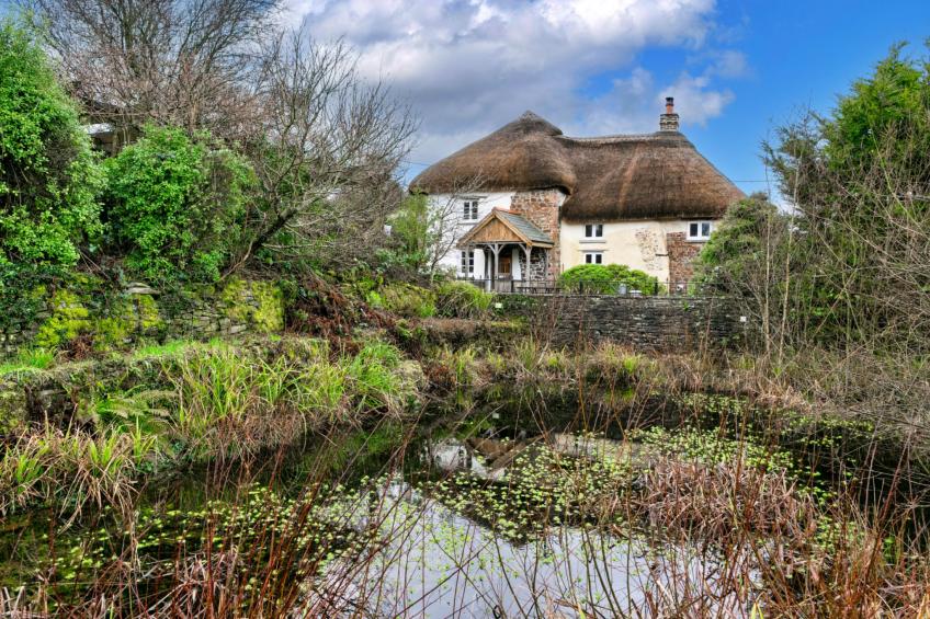Syncocks Farm Cottage - foto 37