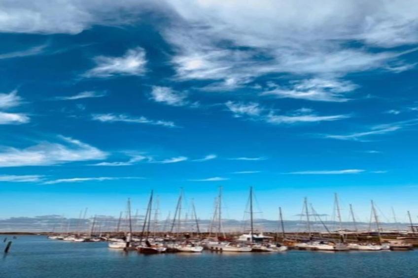 FLAMINGO 101 - foto 24