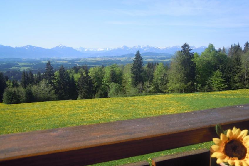 19086 - foto 5