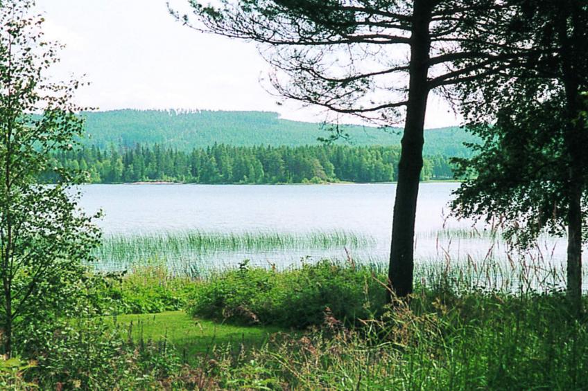 KYRKNÄS - foto 13