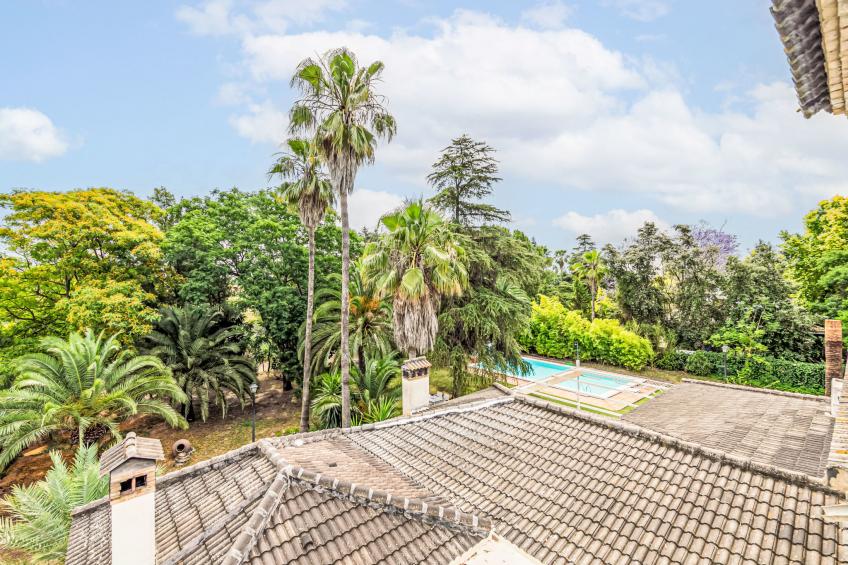 Las Codornices - foto 46