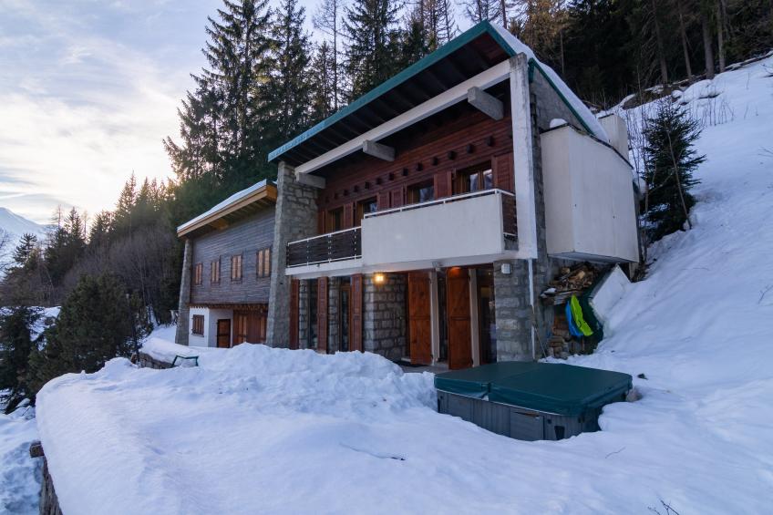 Chalet Glacier - foto 25