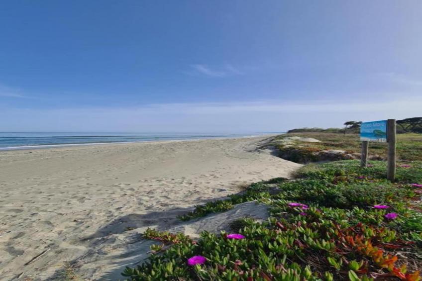 L'air de la mer tout près - foto 11