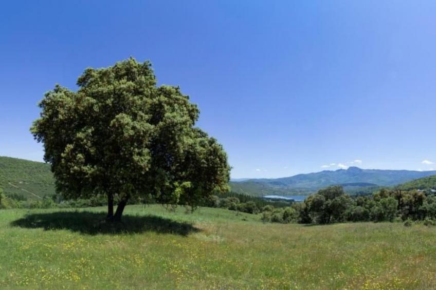 Rural Médulas Haus 1. für 4 PAX belegt. - foto 11