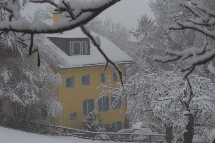Haus Noains, (Rodels), - foto 18